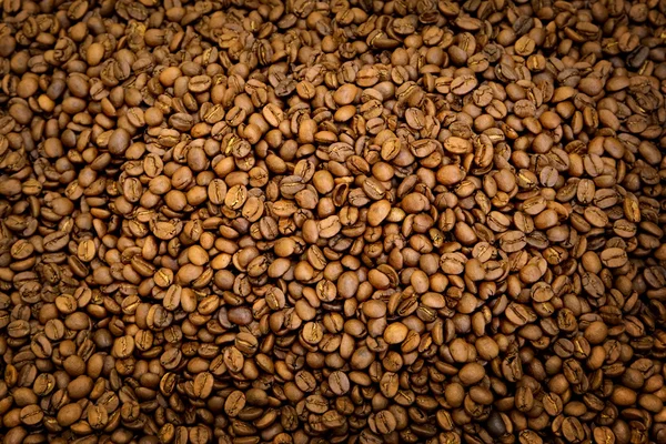 Roasted coffee beans — Stock Photo, Image