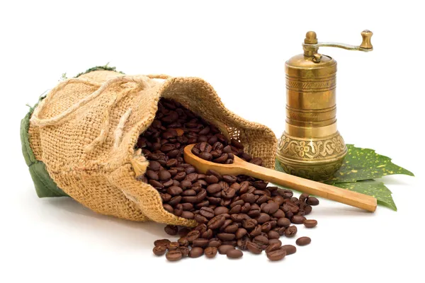 Coffee beans spilled out of the bag with wooden spoon, coffee grinder on green leaves isolated — Stock Photo, Image