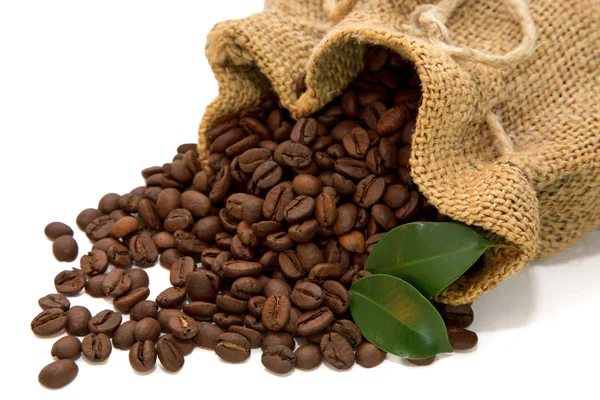 Coffee beans spilled out of the jute bag with green leaves — Stock Photo, Image