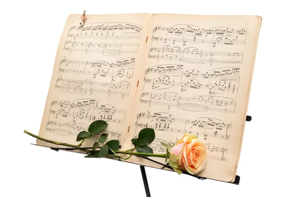 Sarı Gül ve beyaz arka plan üzerinde izole bir antik müzik puanı