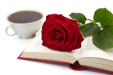kitap güzel kırmızı gül ve kahve açmak
