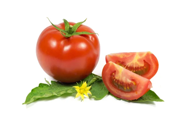 Sliced fresh red tomato on green leaves with yellow flower isolated on white — Stock Photo, Image