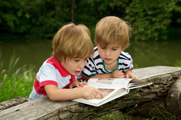 Entzückende kleine Zwillingsbrüder, die auf ein sehr interessantes Bild im Buch in der Nähe des schönen Sees schauen und zeigen — Stockfoto