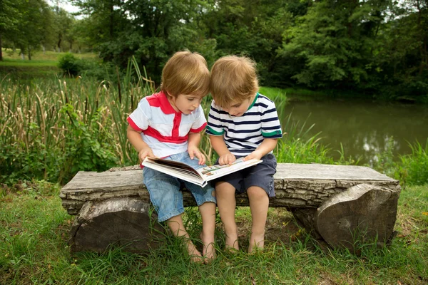 Entzückende kleine Zwillingsbrüder sitzen auf einer Holzbank und lesen ein Buch sehr sorgfältig in der Nähe des schönen Sees — Stockfoto