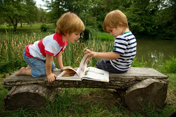 Entzückende kleine Zwillingsbrüder sitzen auf einer Holzbank und betrachten interessante Bilder in dem Buch in der Nähe des schönen Sees — Stockfoto