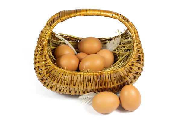 Brown Chicken Eggs and Pen in a Wicker Basket Isolated on White — Stock Photo, Image