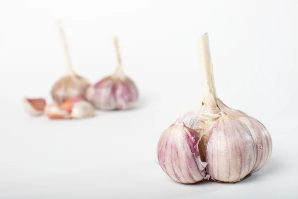 Garlic isolated on white background — Stock Photo, Image