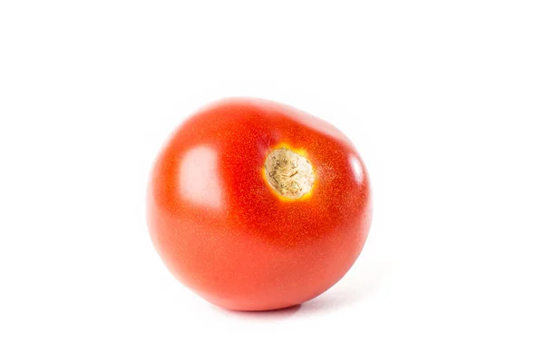 Červené rajče na bílém pozadí — Stock fotografie