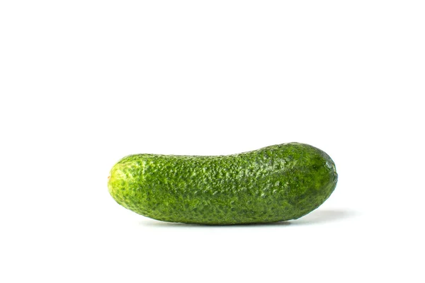 Pepino vegetal aislado sobre fondo blanco — Foto de Stock