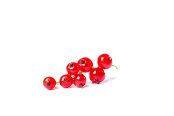 Redcurrant isolated on the white background — Stock Photo, Image