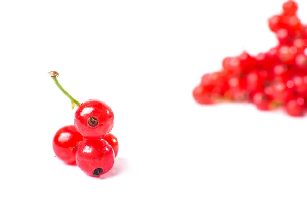 Redcurrant isolated on the white background — Stock Photo, Image