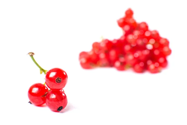 Johannisbeere isoliert auf weißem Hintergrund — Stockfoto