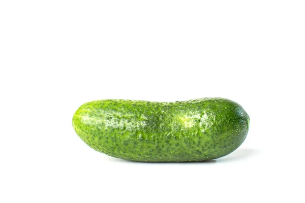 Cucumber vegetable isolated on white background — Stock Photo, Image