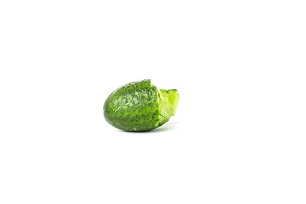 Pepino vegetal isolado no fundo branco — Fotografia de Stock