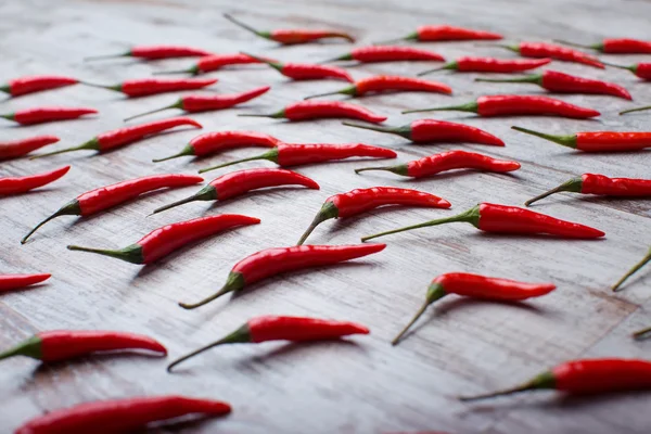 Hot Chili — Stock Photo, Image