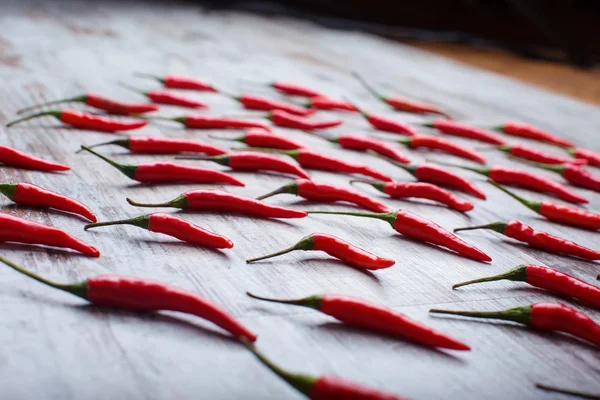 พริกแดงร้อน — ภาพถ่ายสต็อก