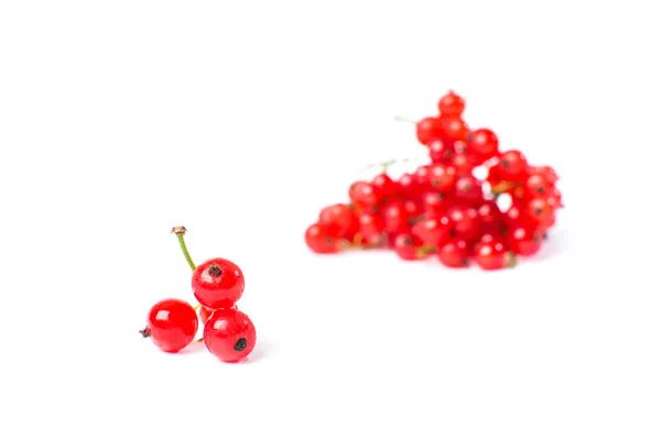 Redcurrant isolated on the white background — Stock Photo, Image