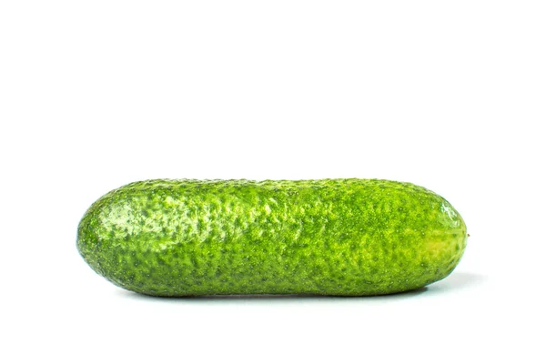 Pepino vegetal isolado no fundo branco — Fotografia de Stock