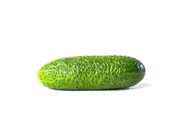 Komkommer groente geïsoleerd op witte achtergrond — Stockfoto