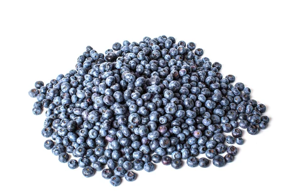 Blue berry — Stock Photo, Image