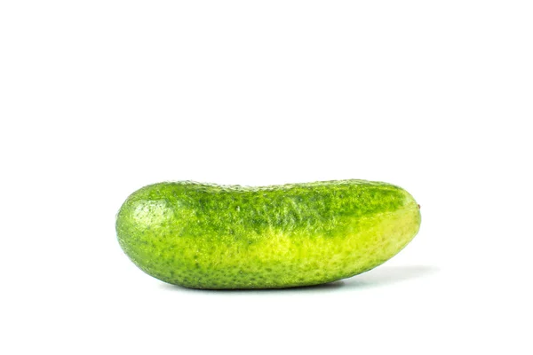 Pepino vegetal isolado no fundo branco — Fotografia de Stock