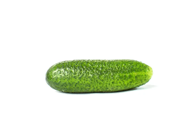 Pepino vegetal isolado no fundo branco — Fotografia de Stock