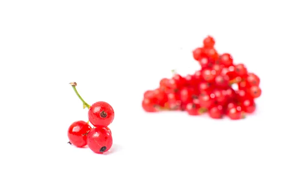 Groseille rouge isolée sur fond blanc — Photo