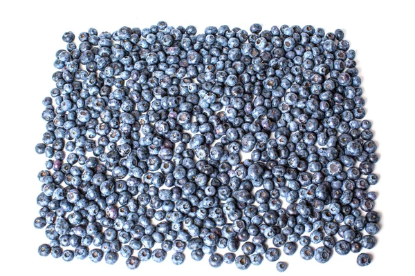 Freshly picked blueberries — Stock Photo, Image
