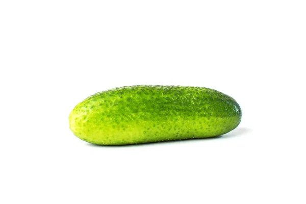 Okurka zelenina izolované na bílém pozadí — Stock fotografie