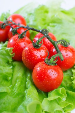 taze domates yakın çekim