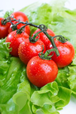 taze domates yakın çekim
