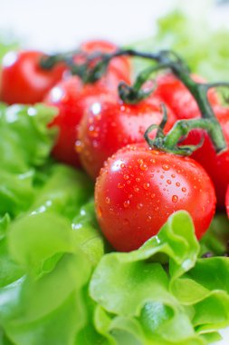 taze domates yakın çekim