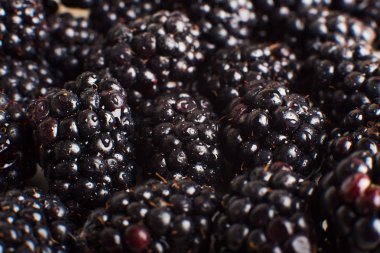 taze olgun böğürtlen