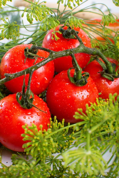 Tomates frescos de cerca — Foto de Stock