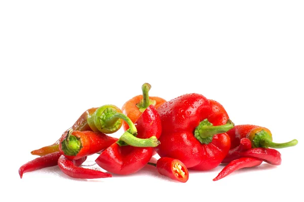 Red peppers on white background — Stock Photo, Image
