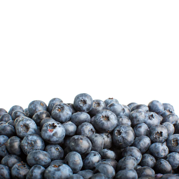 新鲜选择蓝莓 — 图库照片