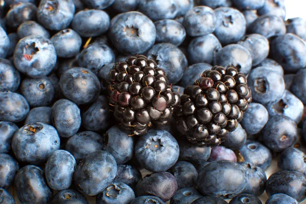 Frisch gepflückte Blaubeeren und Brombeeren aus nächster Nähe — Stockfoto