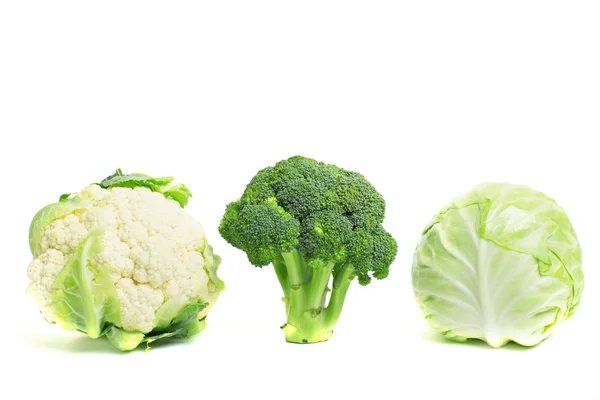 Collection of different varieties of cabbage on a white background. — Stock Photo, Image