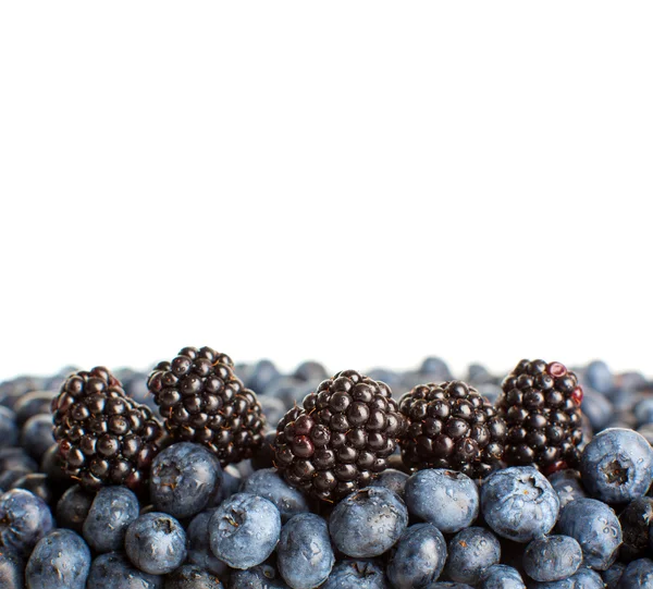 Freshly picked blueberries and blackberries close-up Royalty Free Stock Images