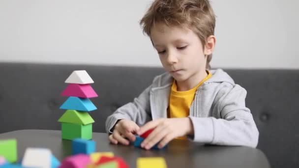 Menino Edifício Construtor Torre Blocos Madeira Coloridos Casa Brinquedos Lógicos — Vídeo de Stock