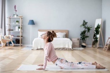 Çekici genç bir kadın oturma odasında çalışıyor, yoga yapıyor ya da evde pilates yapıyor..