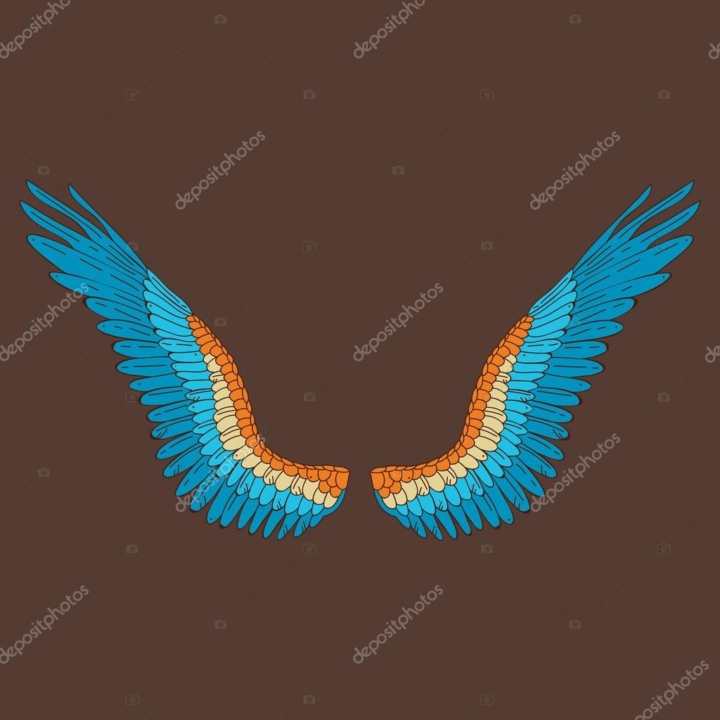 Vector colorful wings