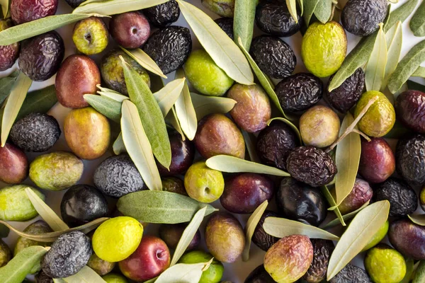 Nové Míchané Olivy Zelené Čerstvé Olivové Listy Pozadí Koncepce Sklizně — Stock fotografie