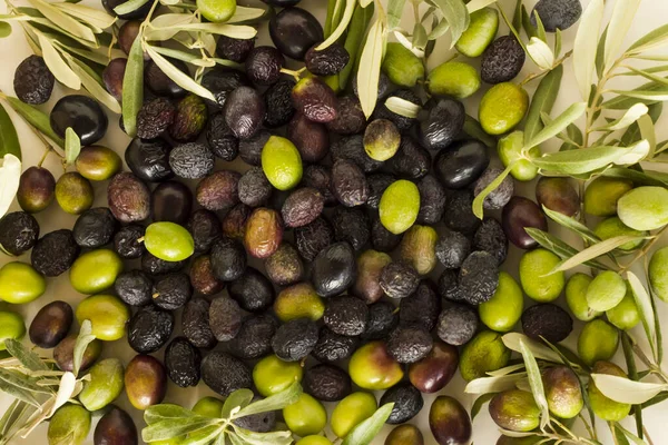 Nové Míchané Olivy Zelené Čerstvé Olivové Listy Pozadí Koncepce Sklizně — Stock fotografie