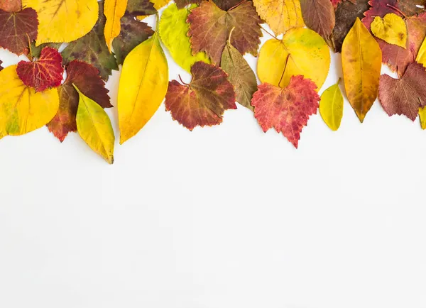 Navrhované Barevné Listy Podzimu Bílém Povrchu Kopírovacím Prostorem — Stock fotografie