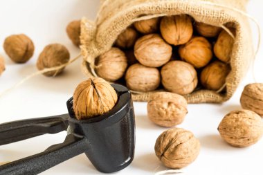 Beyaz arkaplanda ceviz kıracağı ve kopyalama alanı olan bir çuval ceviz..