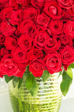 Cam vazoda dizayn edilmiş kocaman, doğal kırmızı güller. Sevgililer Günü Konsepti.