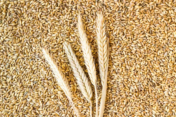 Ears Wheat Shelled Wheat Grains Background Conceptual Image Harvesting — Stock Photo, Image