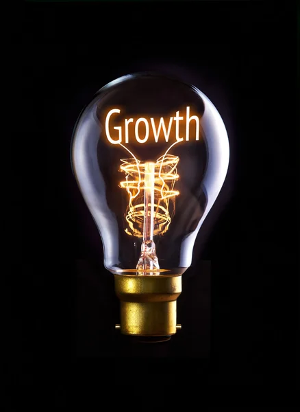 Concepto de crecimiento — Foto de Stock