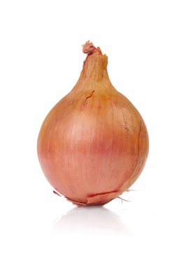 bütün soğan